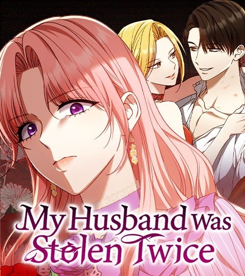 My Husband Was Stolen Twice封面